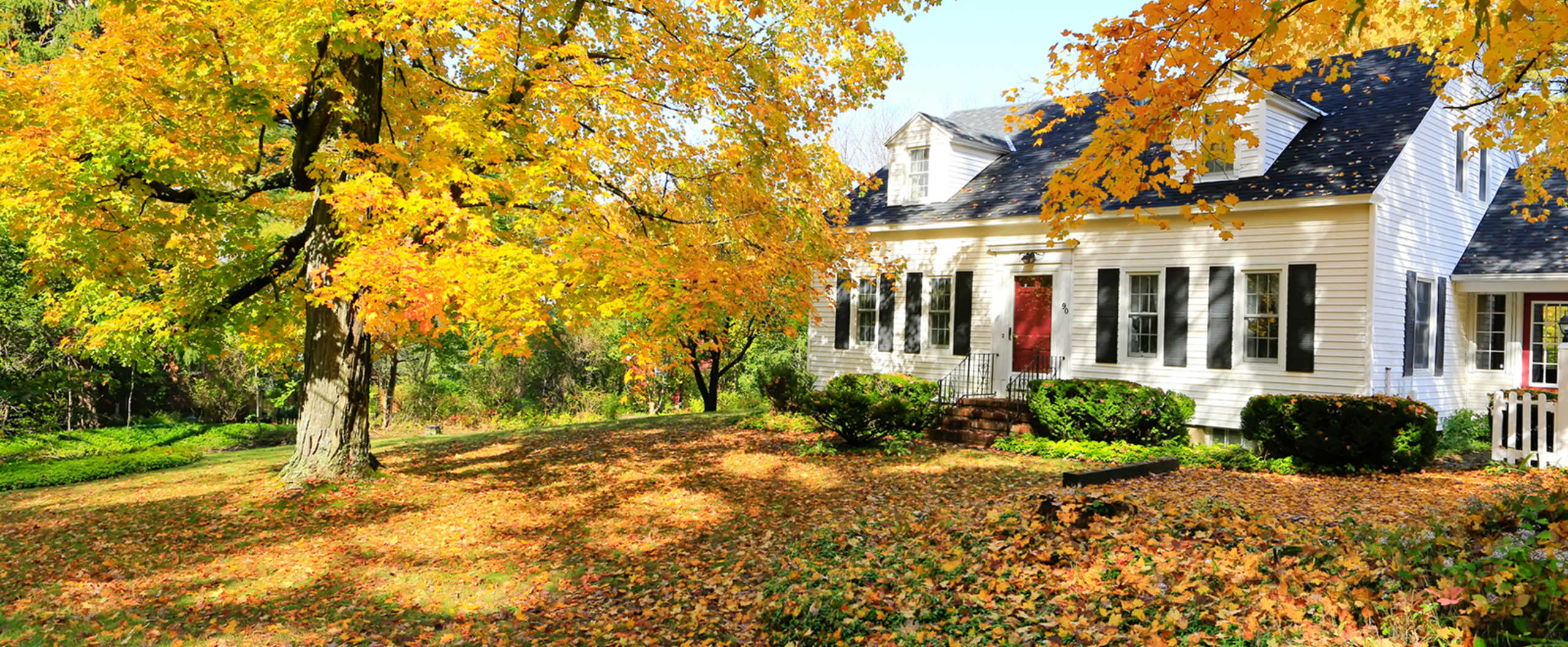 Wallace Realty Bristol, Vermont